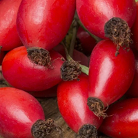 Rosehip Seed - Насіння Шипшини